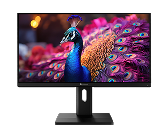 AG Neovo EM2451 24 inch 4k monitor provides mac mode_mobile