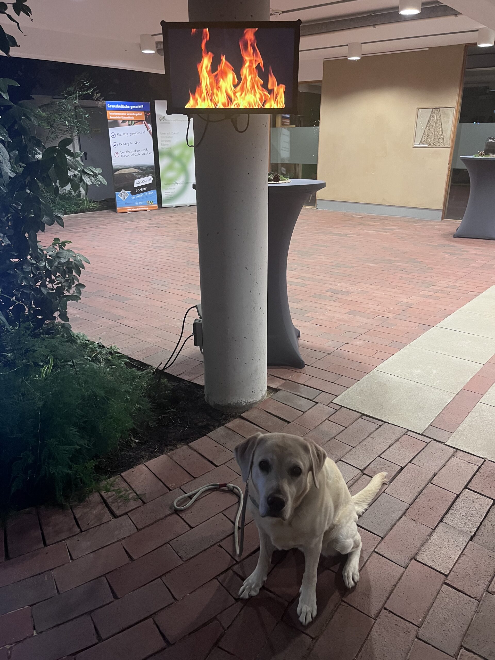 German Co-Working and Startup Centre - TÖZ- TX-2022A_01