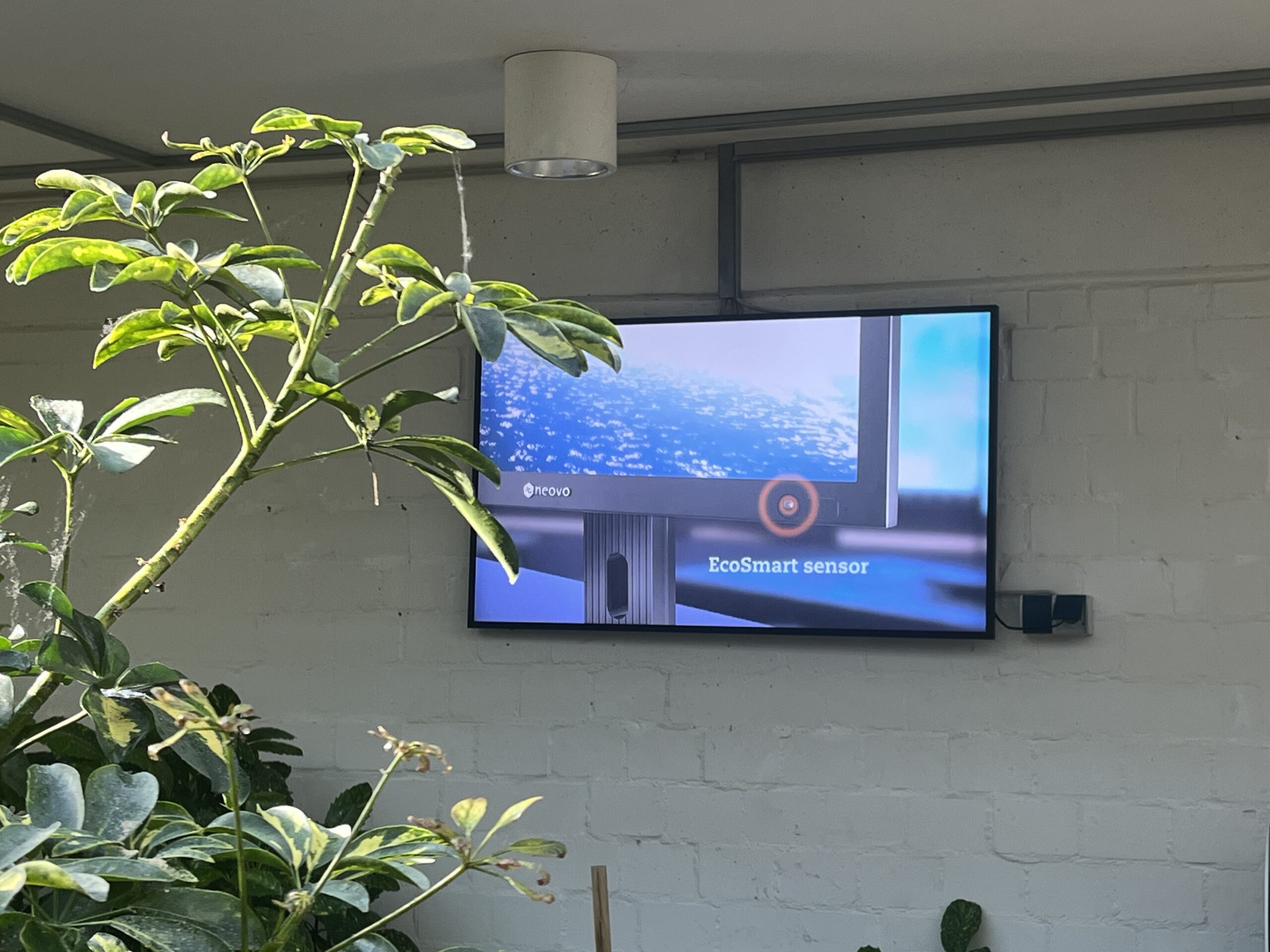 German Co-Working and Startup Centre - TÖZ- NSD-5503_02